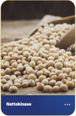 nattokinase từ đậu tương lên men