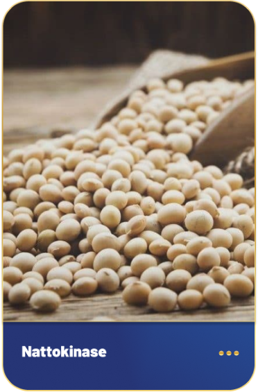 nattokinase từ đậu tương lên men
