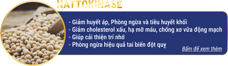 Nattokinase